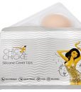 Nipple Covers Pasties Petals Reusable Cover Ups 1 pair by Chic Chickie