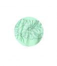 Teejoy Women’s Mid Rise Cotton Bikini Panty with Laced Waist (M, Mint) Teejoy Women’s Mid Rise Cotton Bikini Panty with Laced Waist (M, Mint)