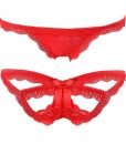 ETAOLINE Women’s Sexy Lingerie Panties Lace Knickers Briefs Underwear