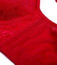 Push Up Bra Plus Size for Women Breathable Thin Comfortable Bra Lightly Lined Soft Padding Wirefree Minimizer Bra 36B Wine Red Push Up Bra Plus Size for Women Breathable Thin Comfortable Bra Lightly Lined Soft Padding Wirefree Minimizer Bra 36B Wine Red