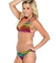 Simplicity Womens Reversible Rainbow Ombre Zebra Stripe Bikini, L