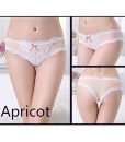 KUKOME Womens Sexy Soft 5 Pack Lace Back Low Rise Hipster Briefs Panties(Small, Mixed Color Sets – 5Pack)