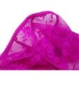 Easykan Women’s Premium Nylon Soft Sheer Lace Hi Cut Hipster Brief Mid Rise Panties ,Plus Size Available (10-12, Rose) Easykan Women’s Premium Nylon Soft Sheer Lace Hi Cut Hipster Brief Mid Rise Panties ,Plus Size Available (10-12, Rose)