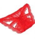 ETAOLINE Women’s Sexy Lingerie Panties Lace Knickers Briefs Underwear